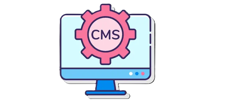 Custom CMS